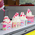 Discount_till_rolls_selection_of_disposable_chill_ice_cream_cups_with_Ice_Cream.png