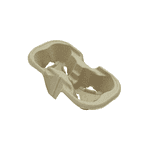2_Cup_Carrier_Pulp.png, Coffee_cup_carrier.png