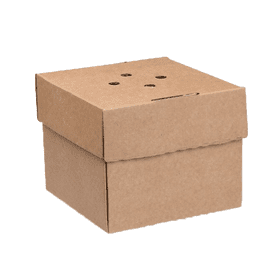 Premium corrugated burger plate boxes, eco-friendly and compostable for sustainable takeaway packaging.